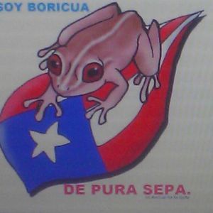 Meet your Posher, Jerry